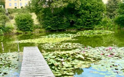 Selfcare-Retreat Kloster Strahlfeld